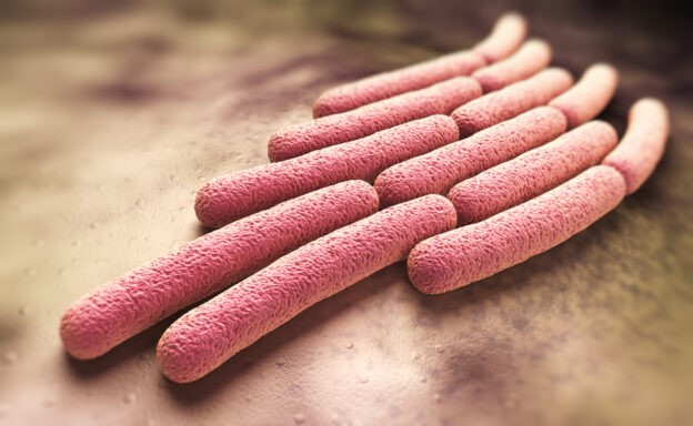 Lab reports ‘vital’ amid rise in antibiotic-resistant shigella