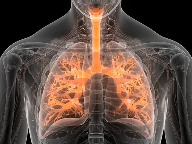 Perioperative immunotherapy a boon for patients with resectable NSCLC: study