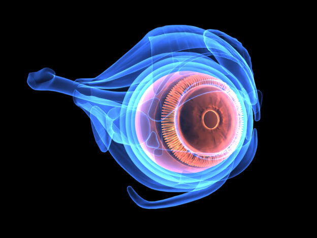 GLP-1 RAs tied to greater risk of diabetic retinopathy progression than SGLT-2is: study