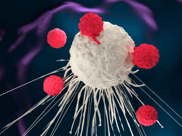 FDA investigates secondary malignancy risk with CAR T-cell therapy