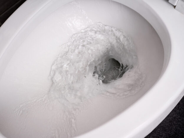 Is it worth closing toilet lid to reduce viral plume from flushing?