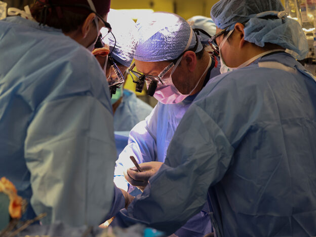 First pig-to-human kidney transplant performed