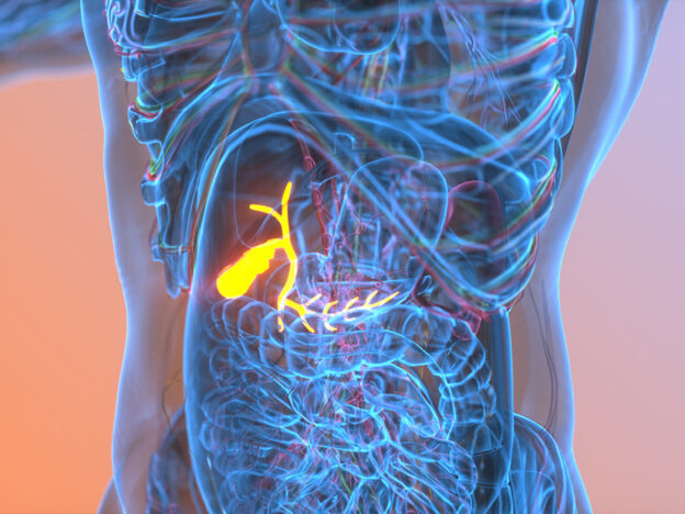 Experimental drug 'shows promise' for treating primary biliary cholangitis