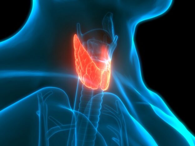 'High prevalence' of type D personality in people with hypothyroidism