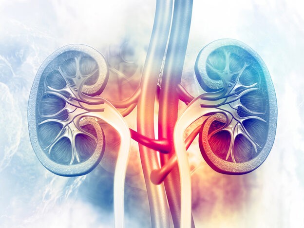 Antihypertensive use linked to lower risk for kidney failure in cases with advanced disease