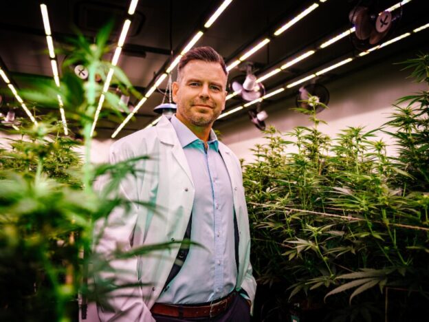 The rise and rise of Australia's $350 million medicinal cannabis business