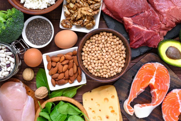 Dietary protein intake and sources for different ages and stages