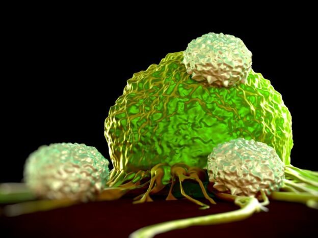 Immunological reset? CAR T-cell therapy shows promise for autoimmune diseases