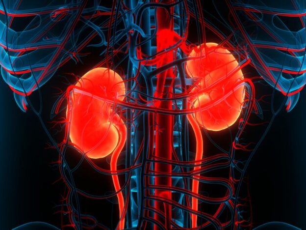 Acute kidney injury linked to increased risk of dementia