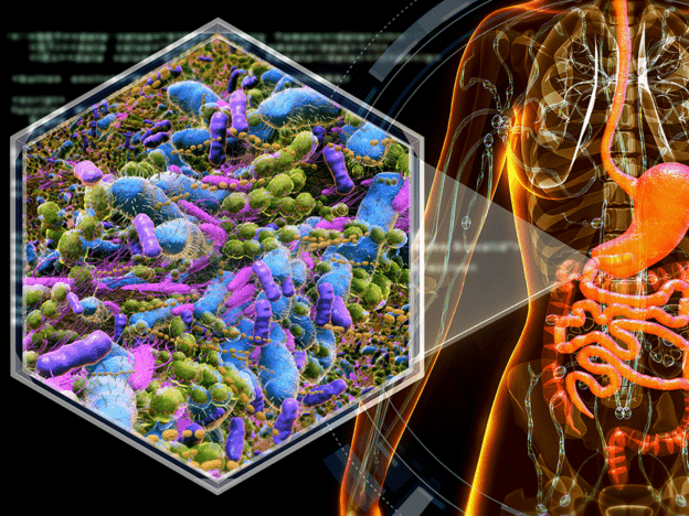 A practical approach to the gut microbiome